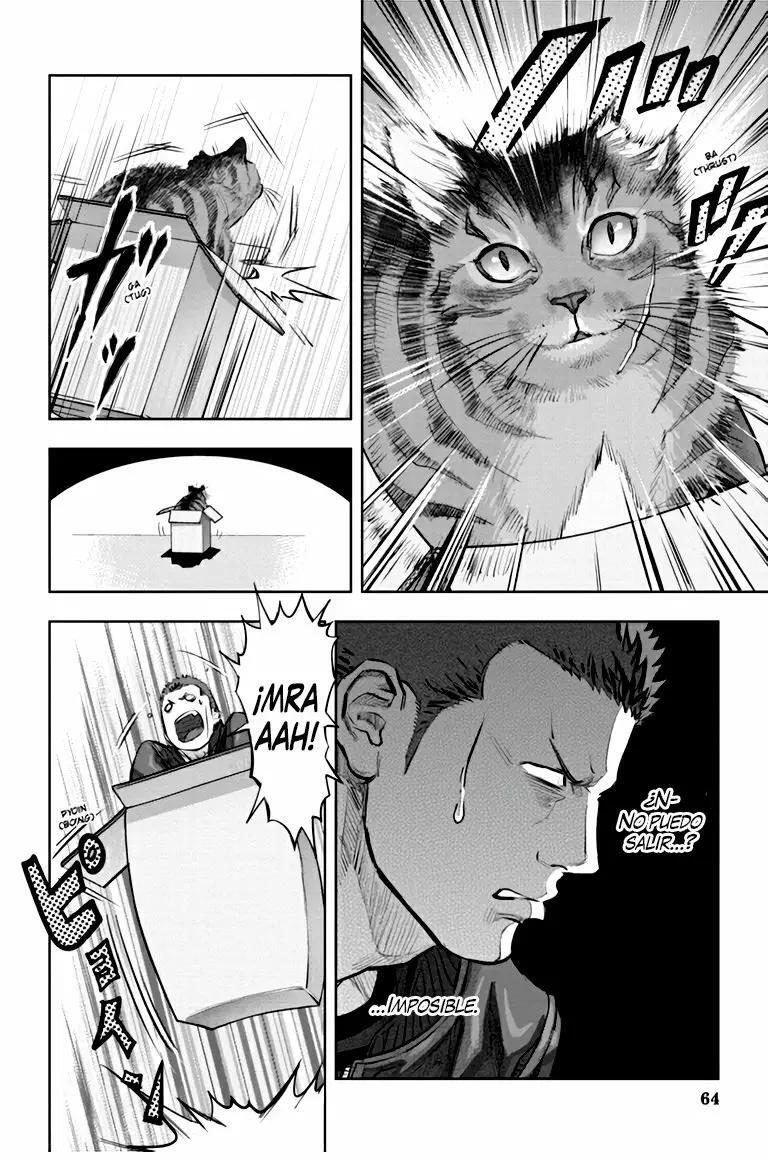 Capitulo 2 page 19