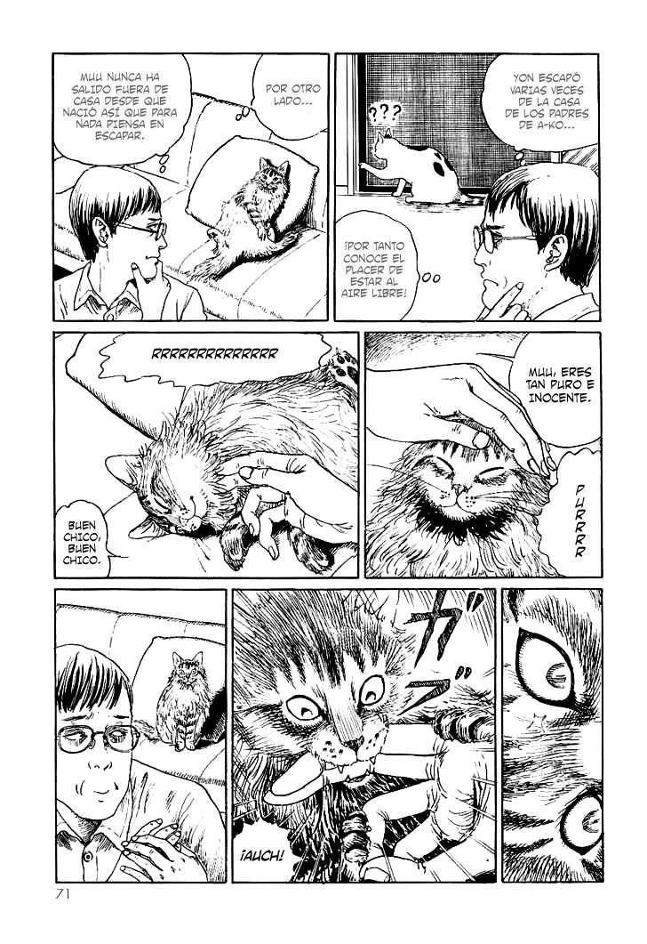 Capitulo 7 page 5