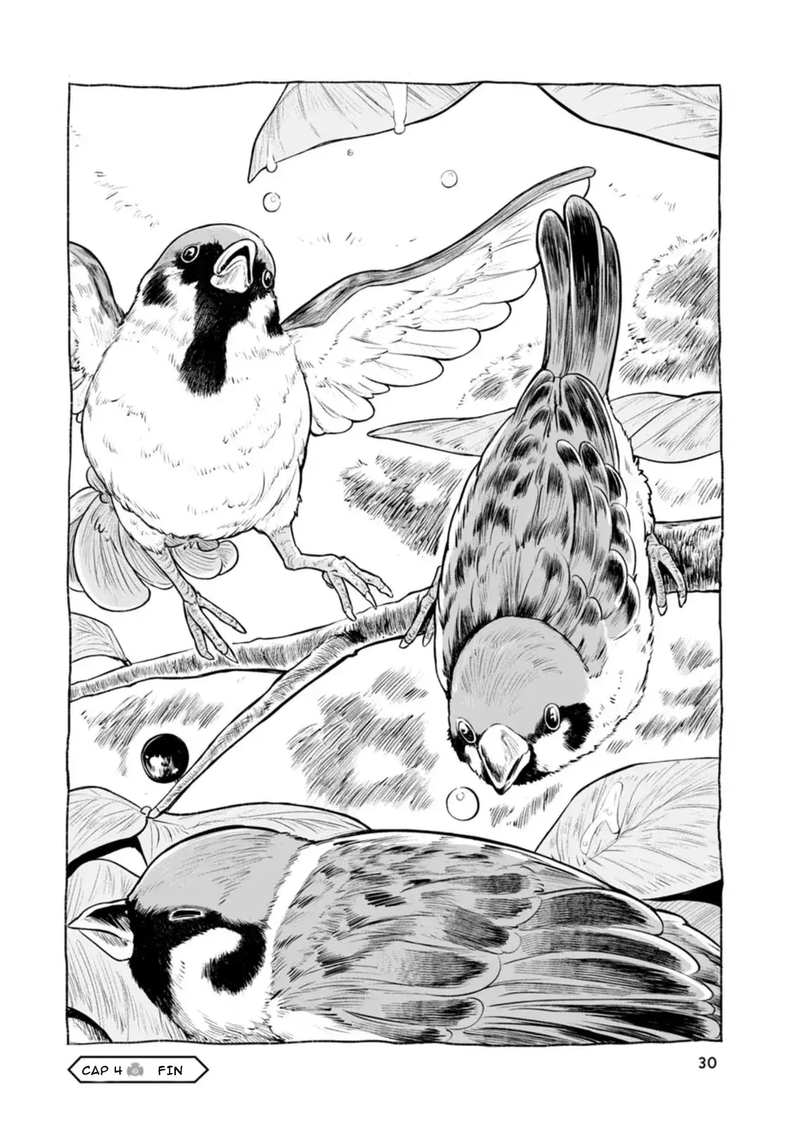 Capitulo 4 page 10