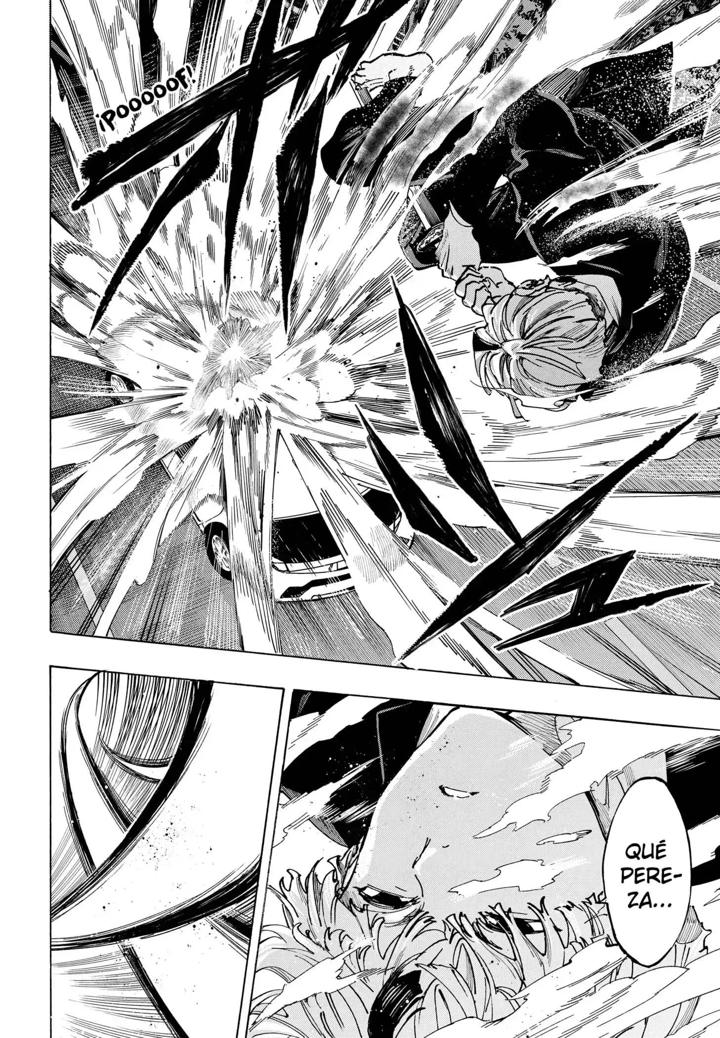 Capitulo 116 page 2