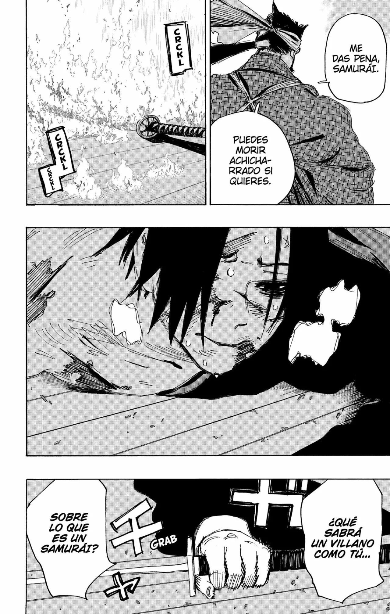 Capitulo 115 page 10