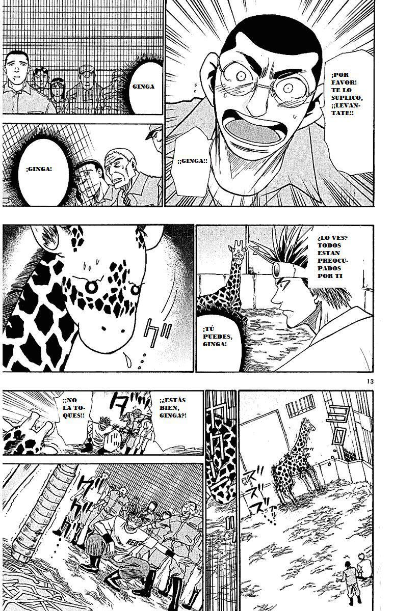 Capitulo 44 page 13