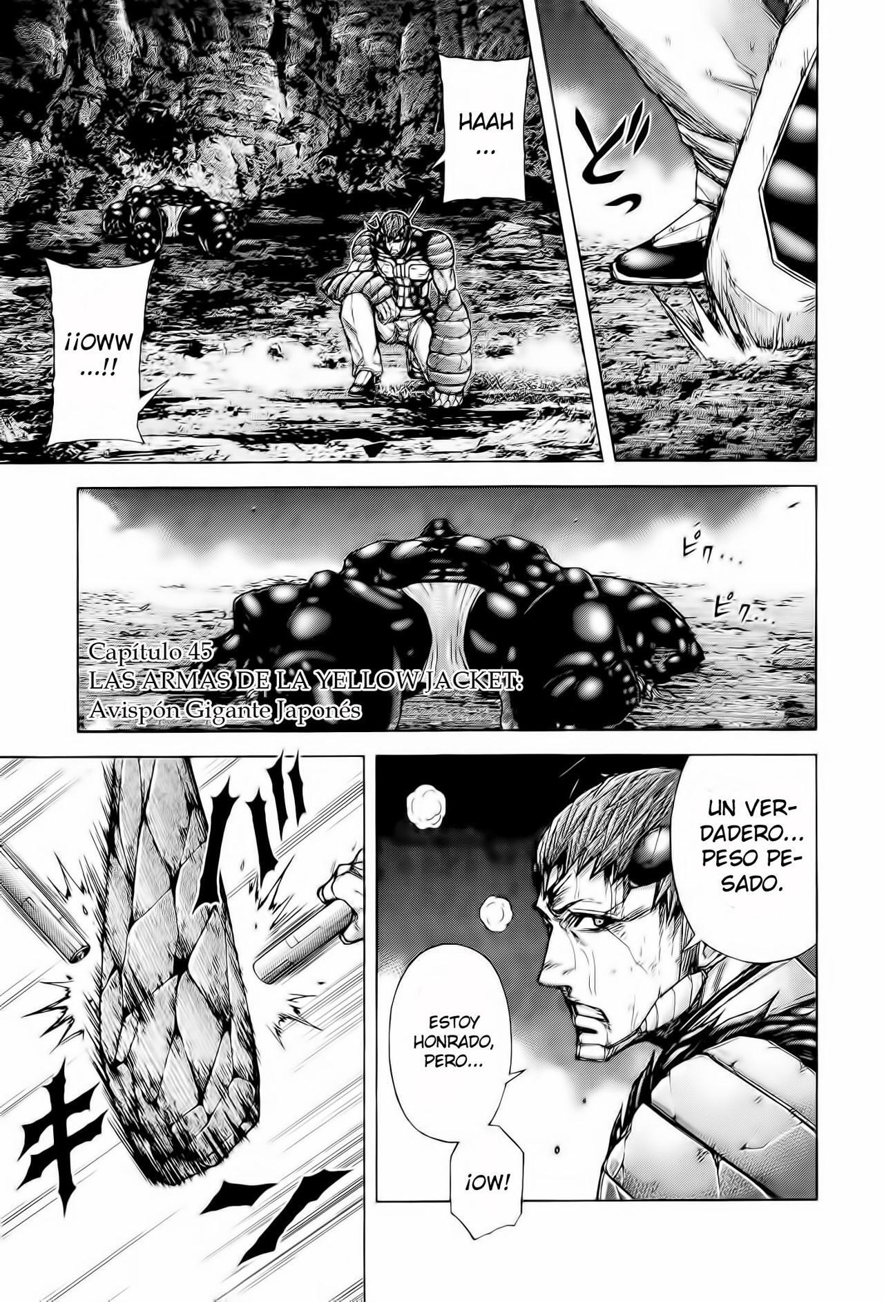 Capitulo 45 page 3