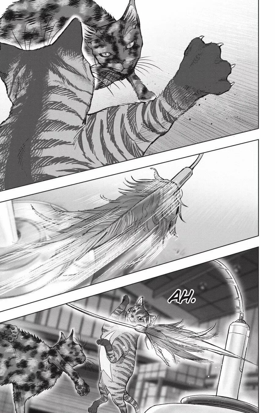 Capitulo 25 page 6