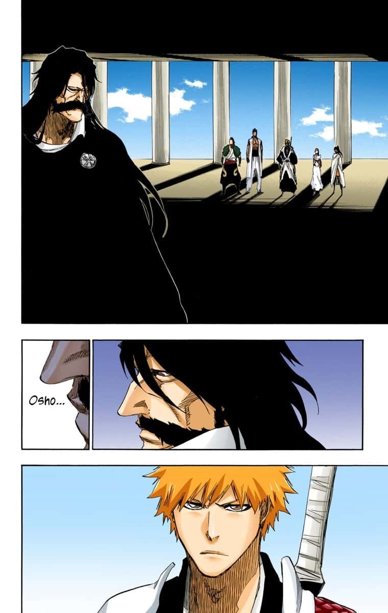 Capitulo 613 page 13