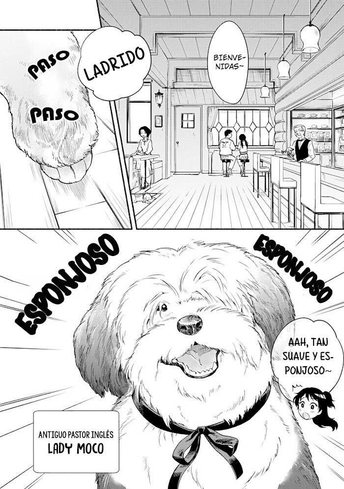 Capitulo 12 page 4