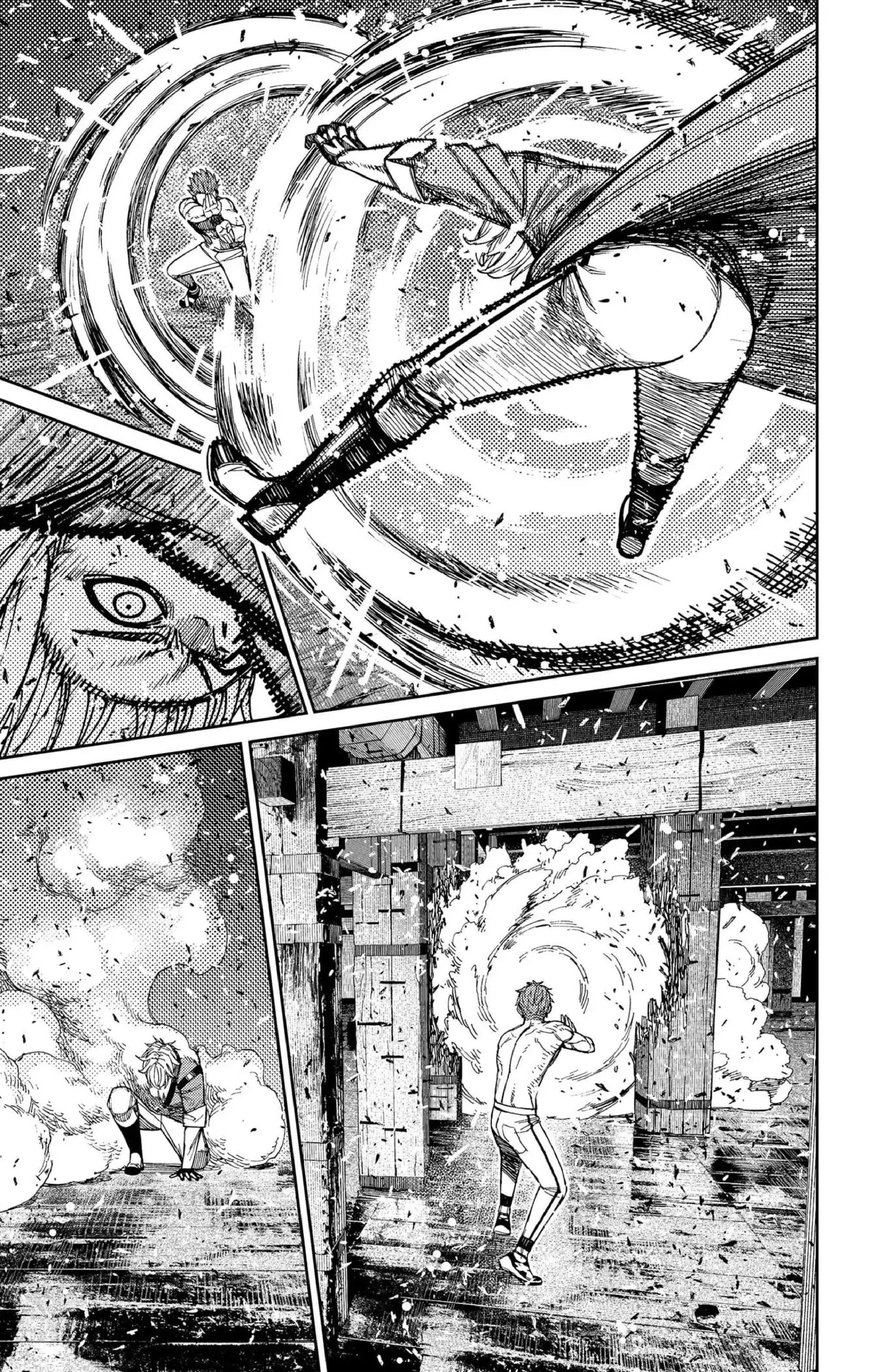 Capitulo 205 page 8