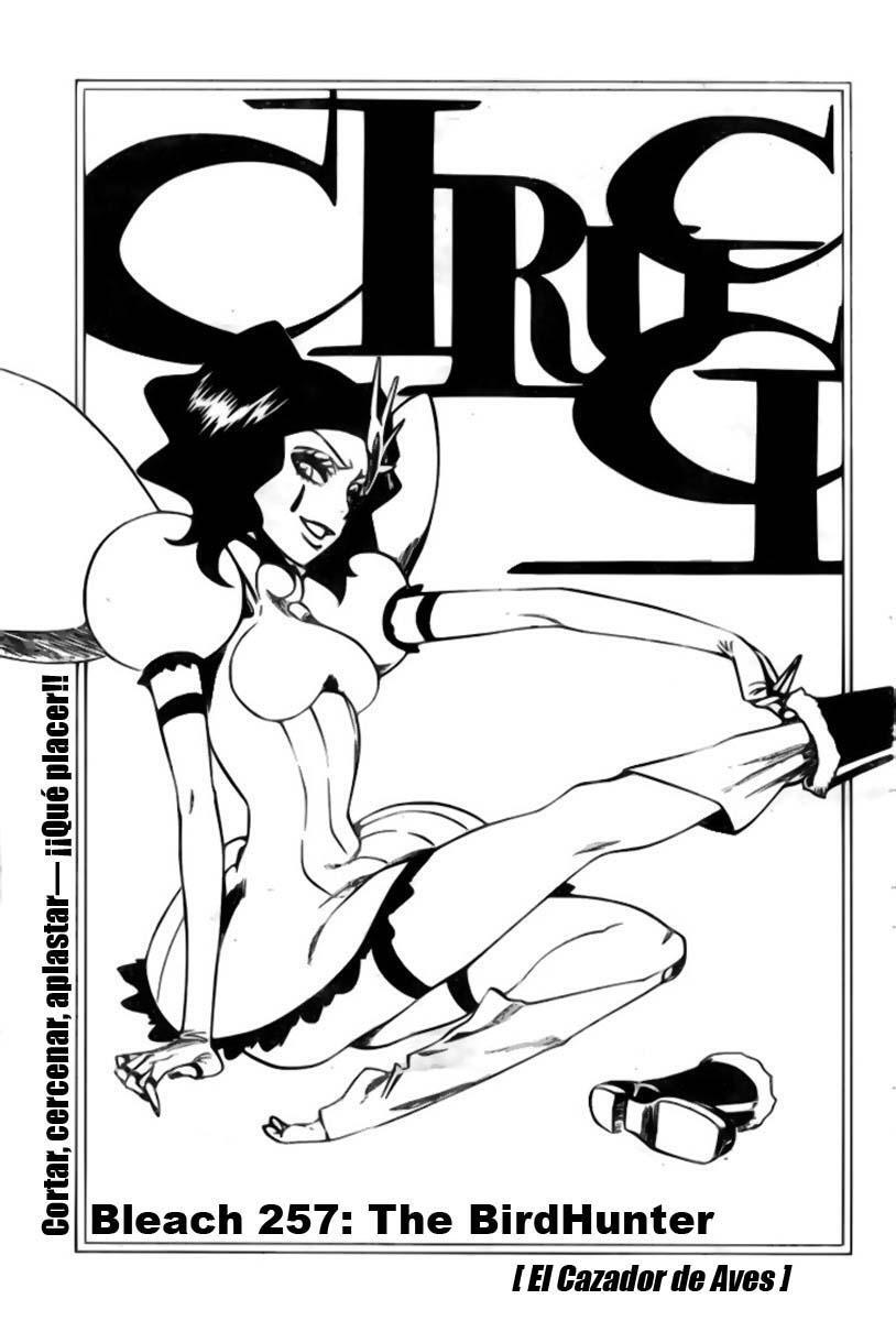 Capitulo 257 page 3