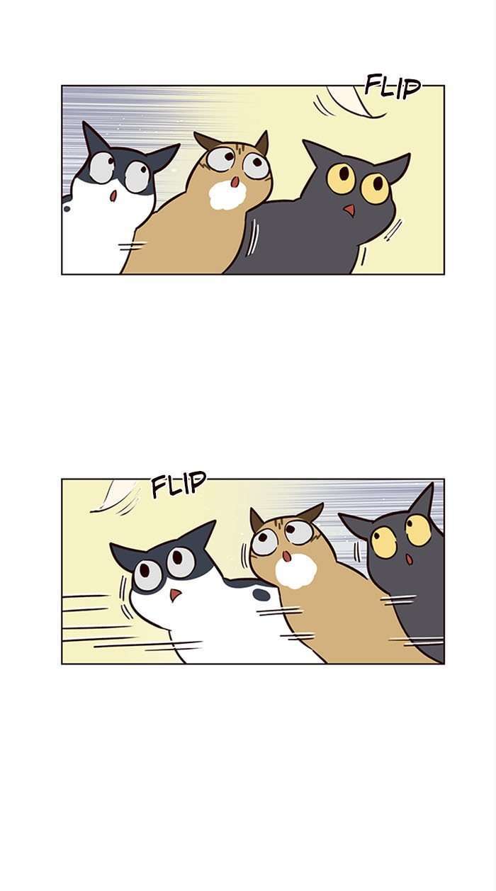 Capitulo 16 page 9