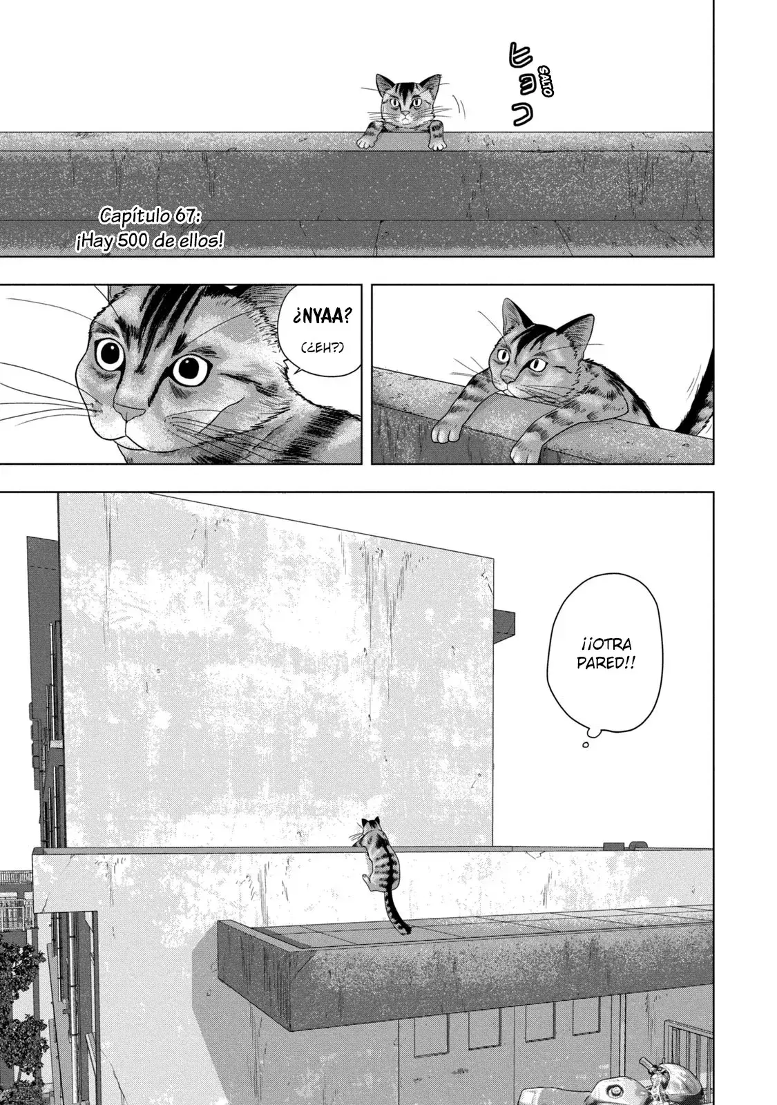 Capitulo 67 page 2