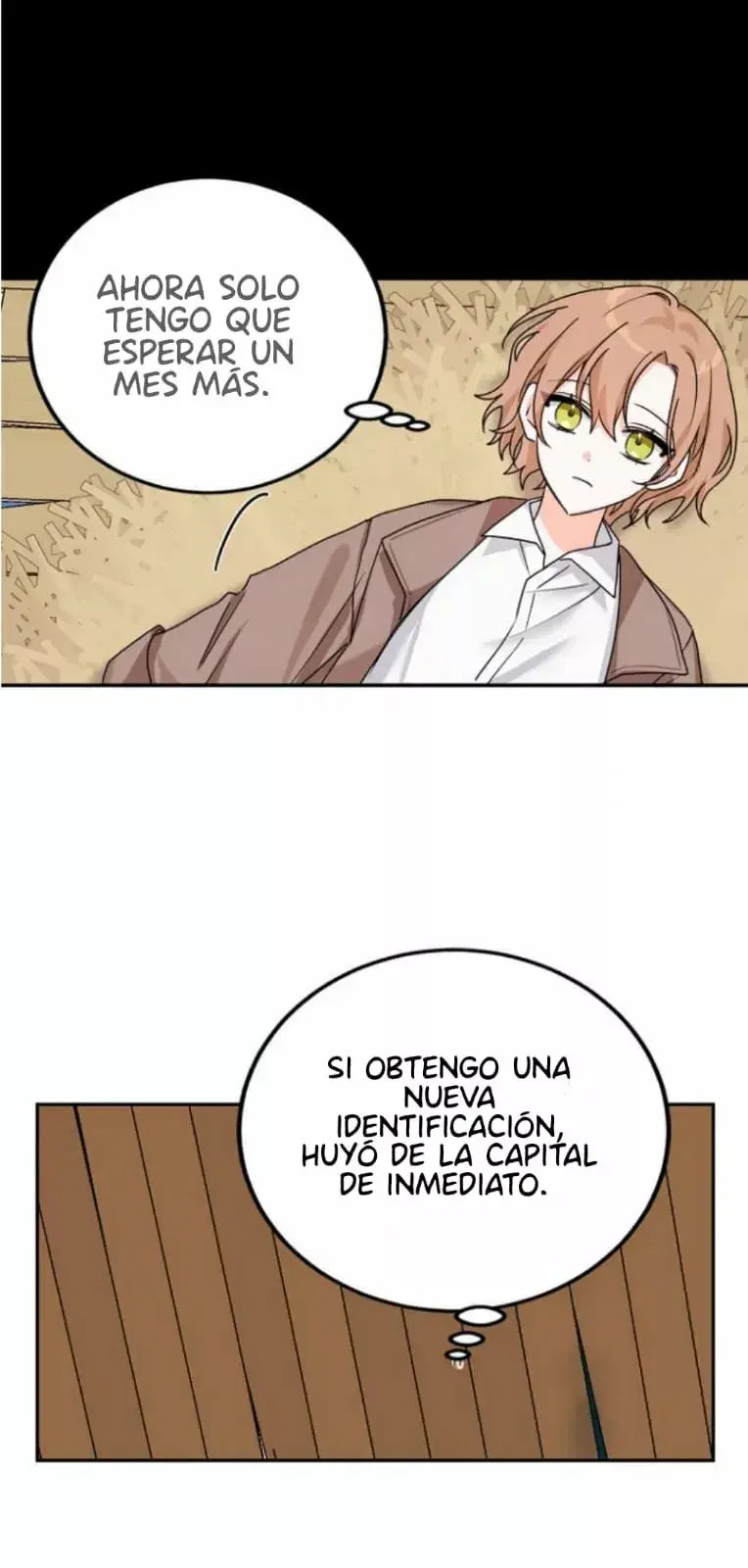 Capitulo 2 page 31