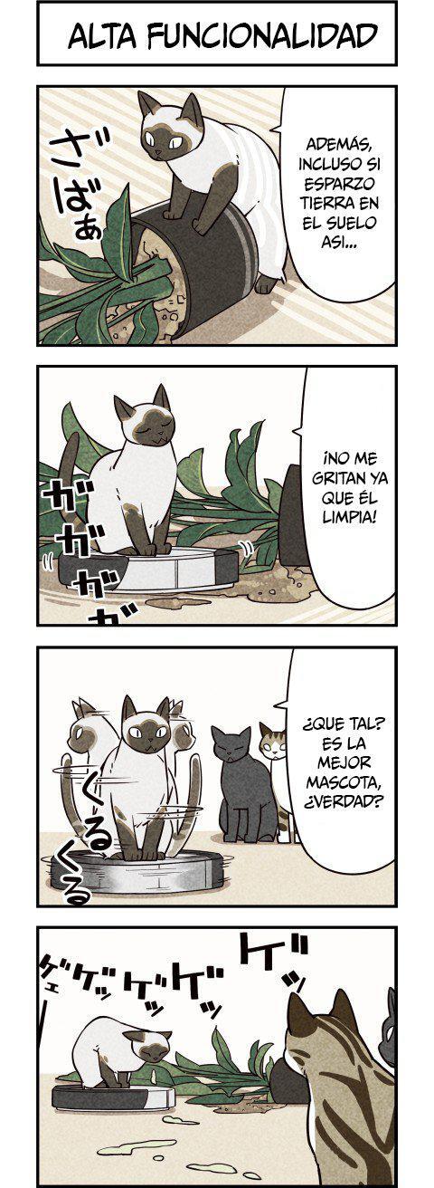 Capitulo 10 page 3