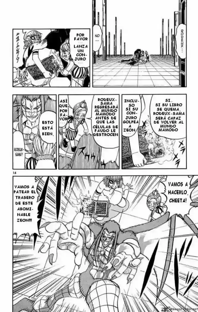 Capitulo 268 page 13