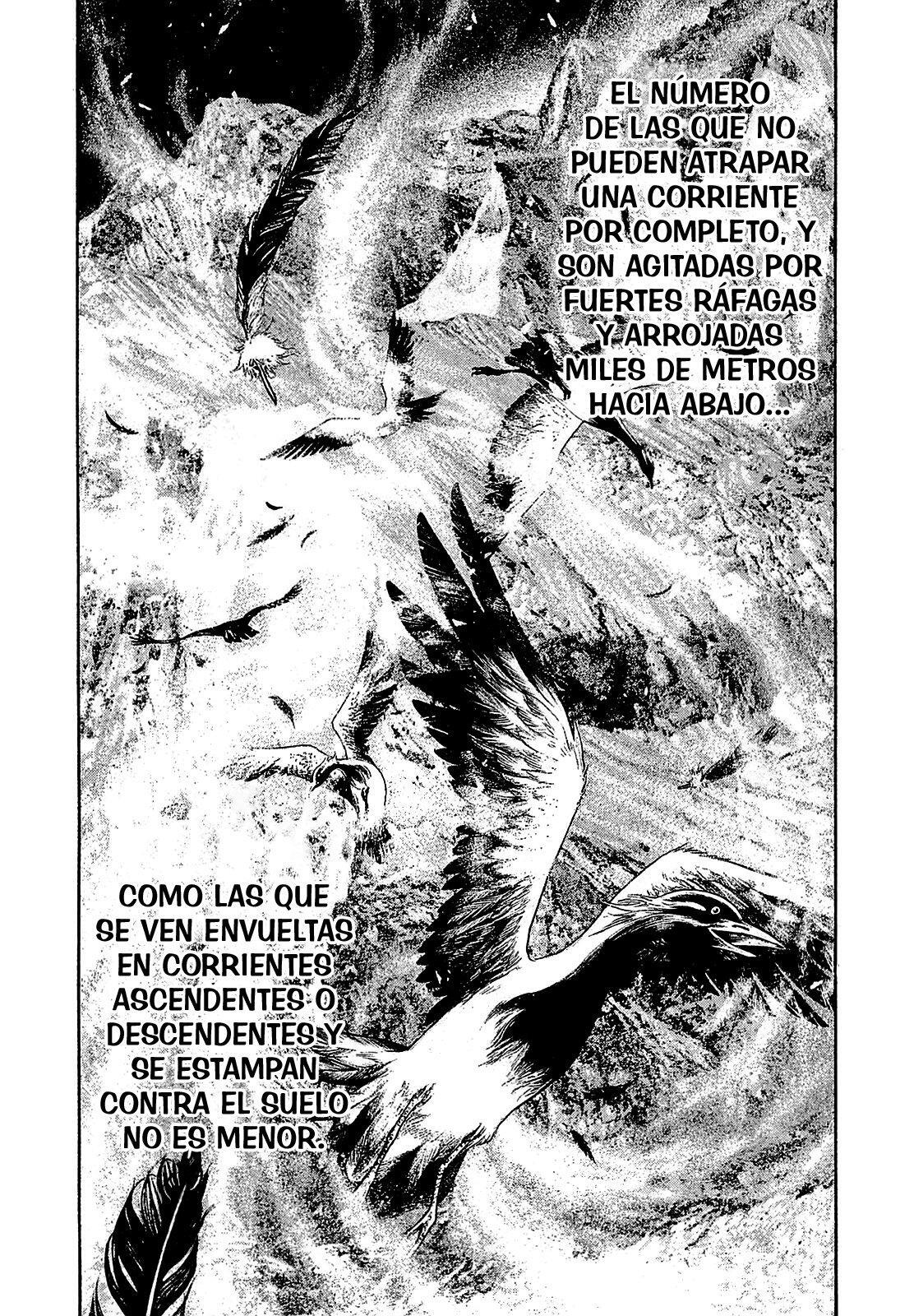 Capitulo 168 page 12