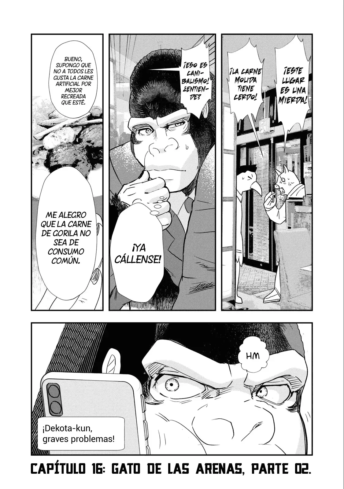 Capitulo 16 page 3
