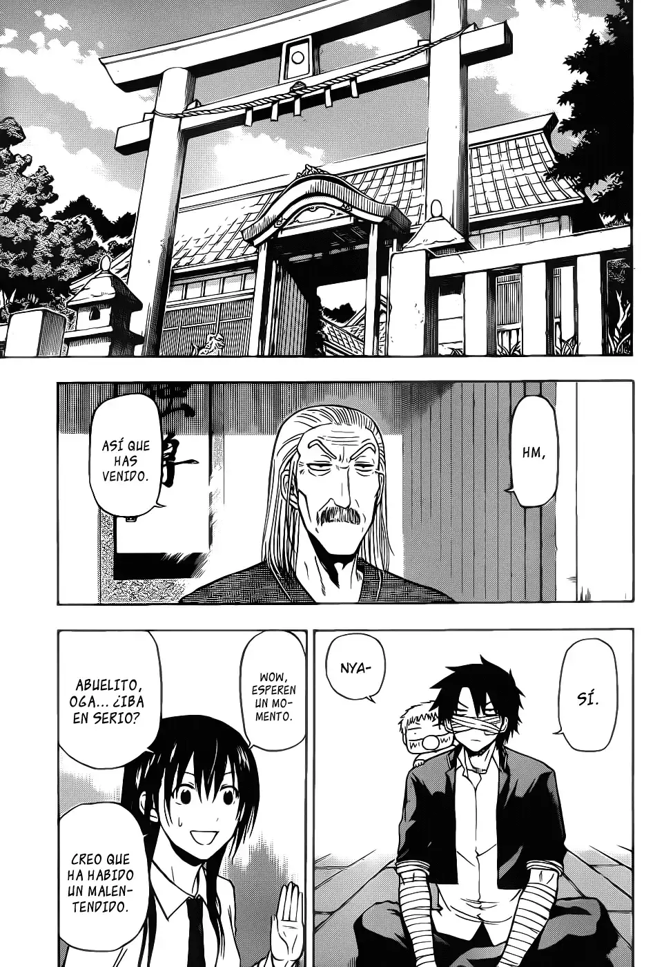 Capitulo 89 page 12
