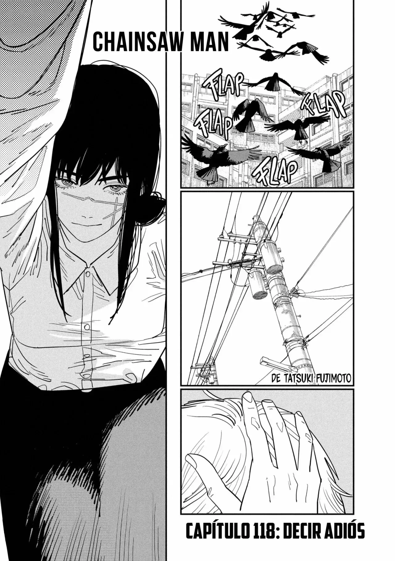 Capitulo 118 page 2