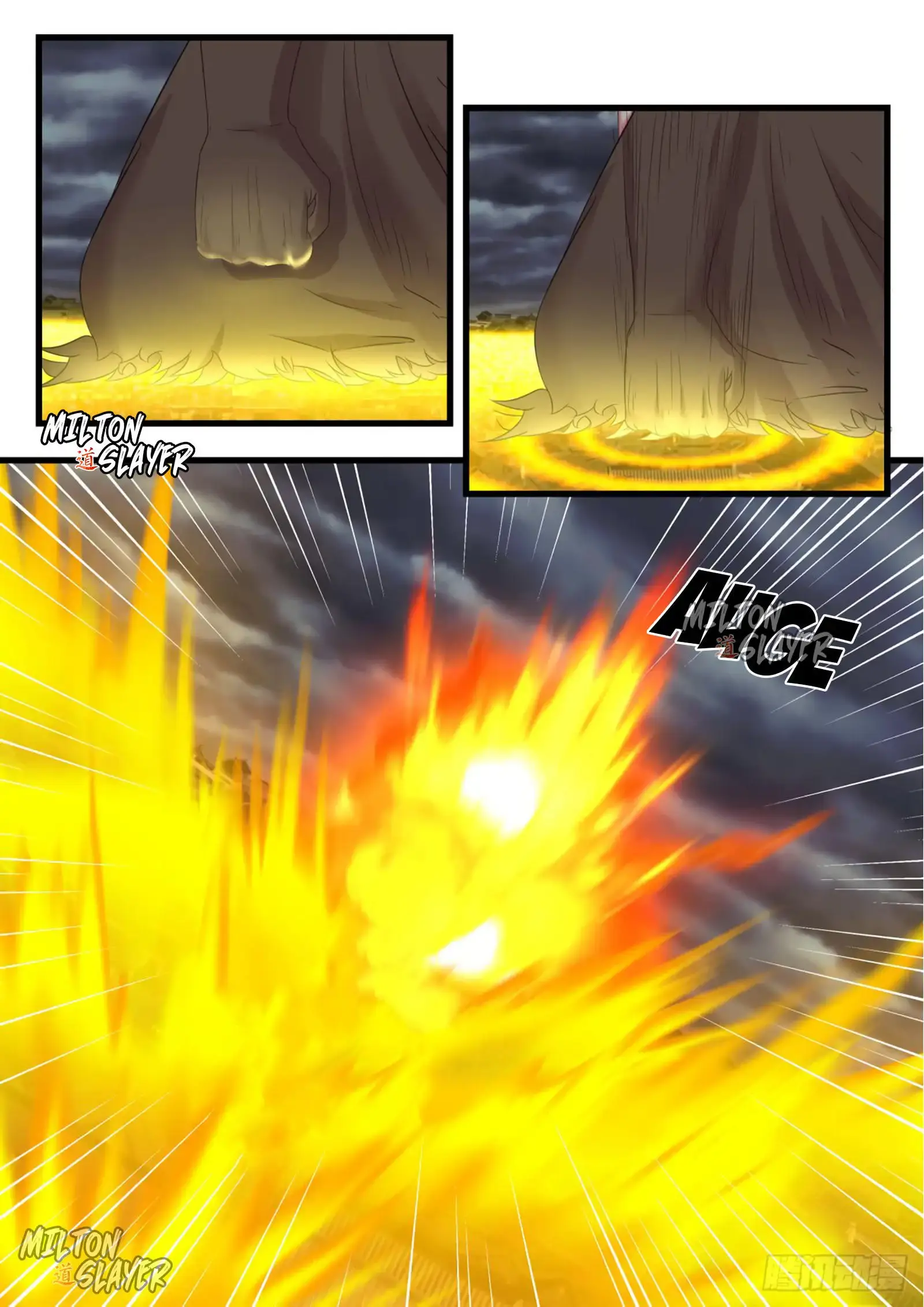 Capitulo 530 page 11