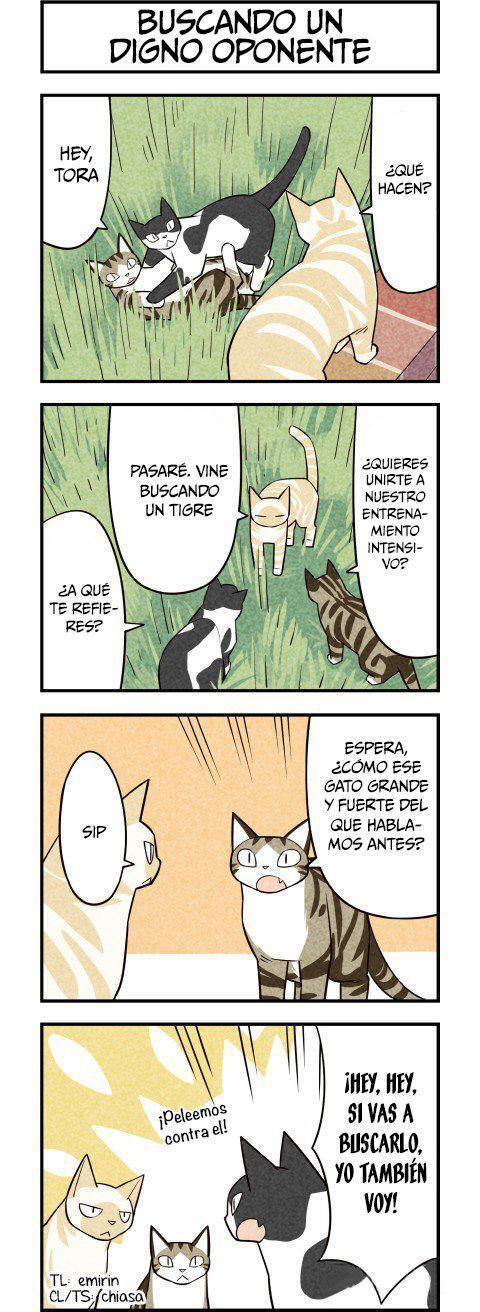 Capitulo 25 page 4