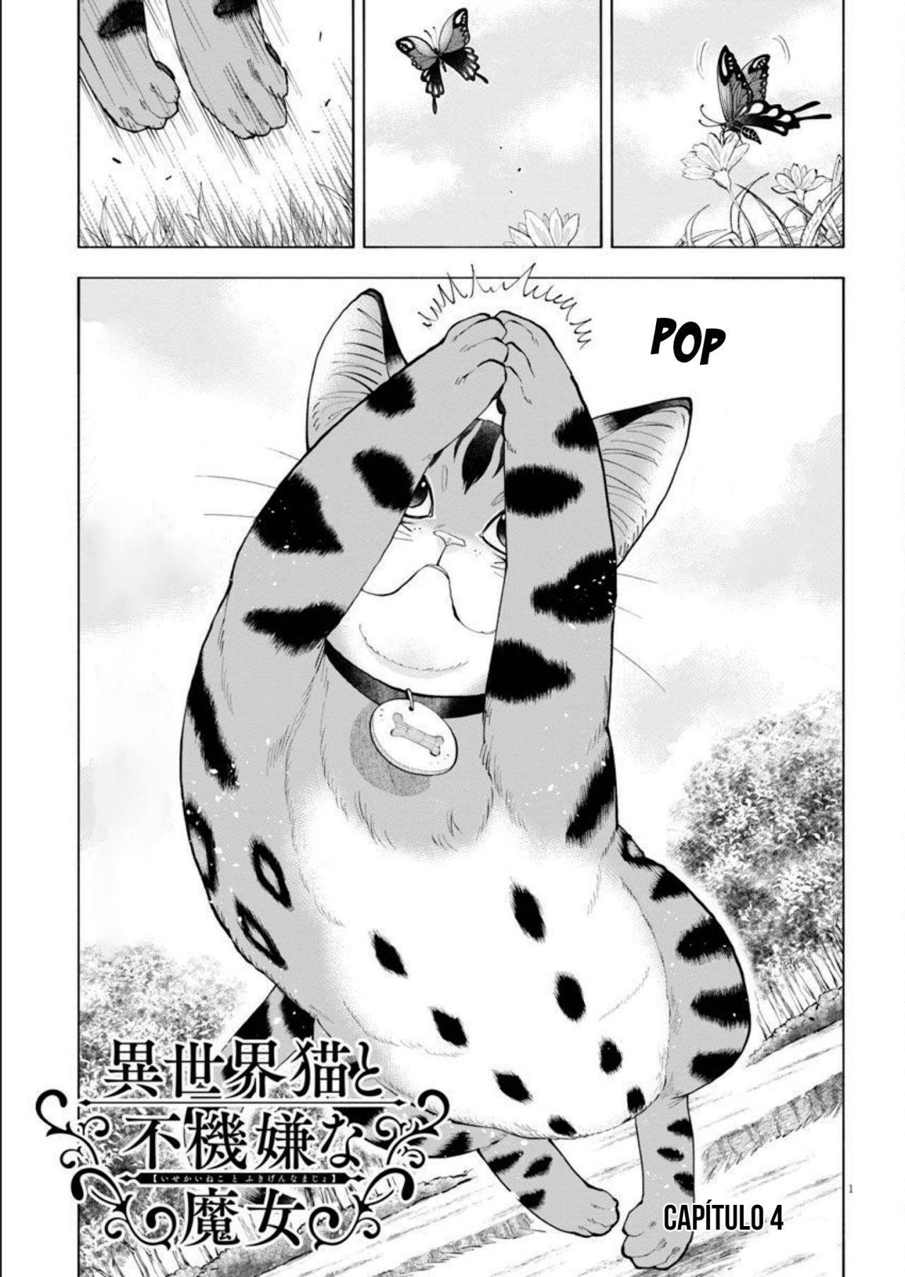 Capitulo 4 page 2