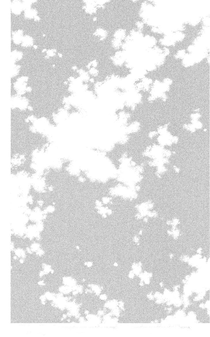 Capitulo 6 page 9