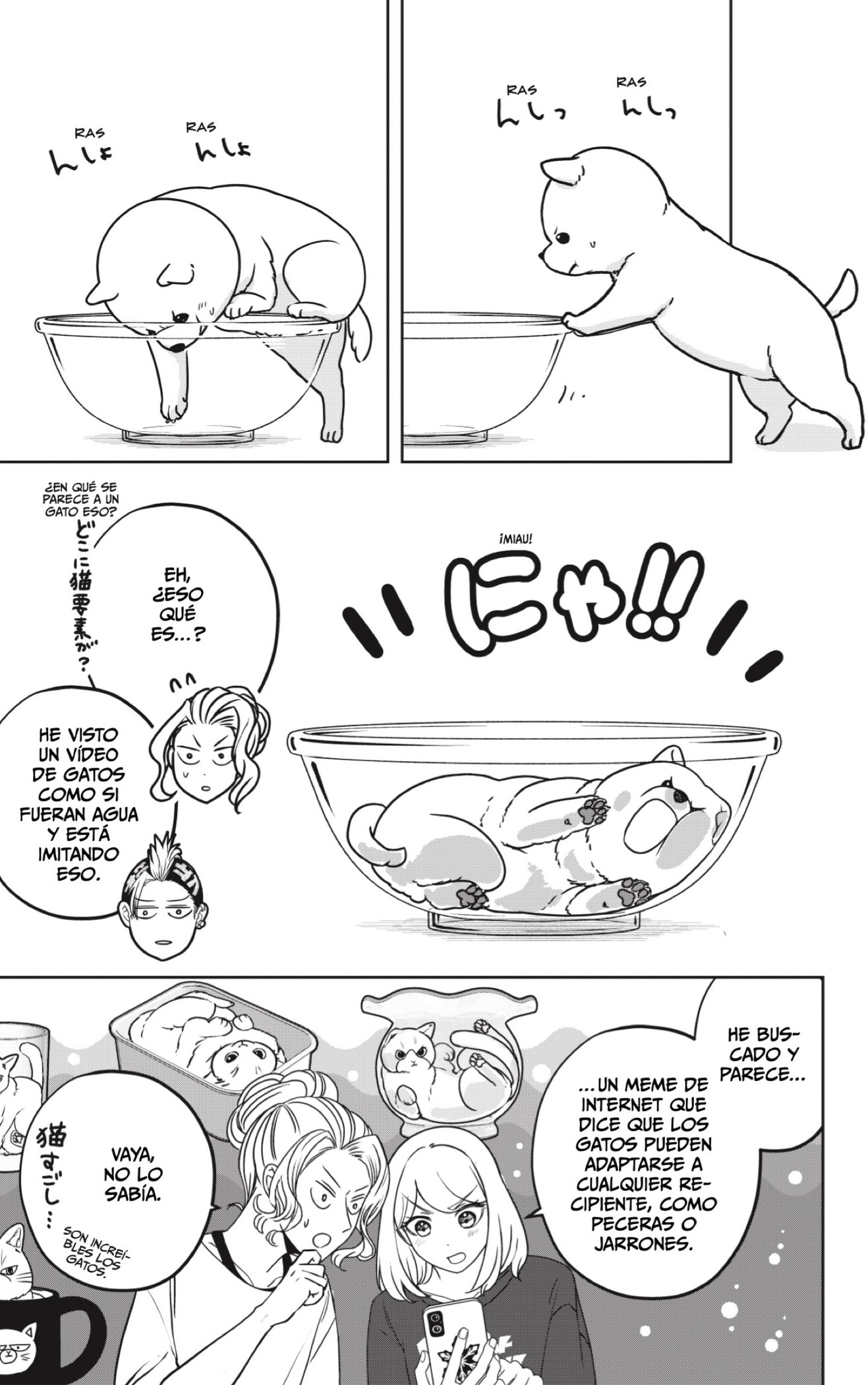 Capitulo 53 page 11