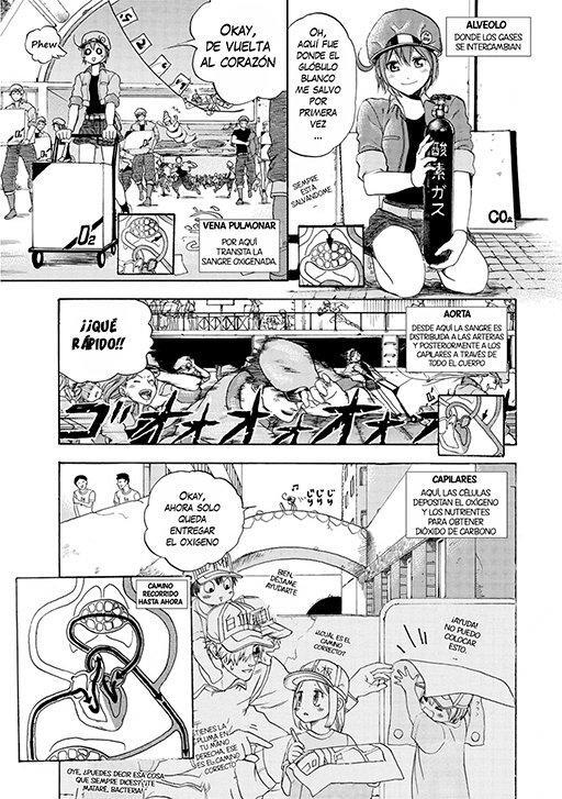Capitulo 10 page 17