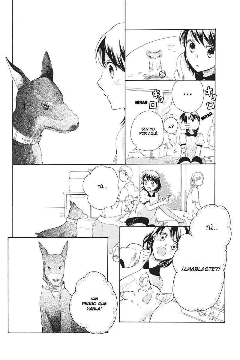 Capitulo 3 page 13