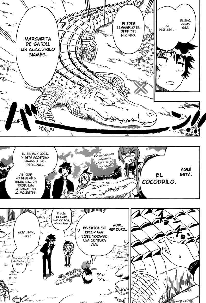 Capitulo 142 page 14