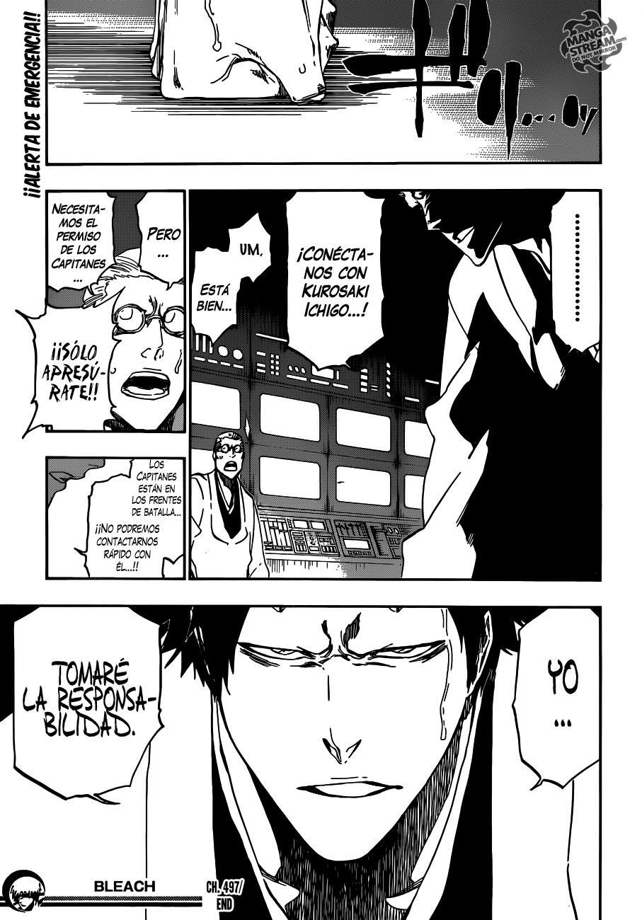 Capitulo 497 page 17