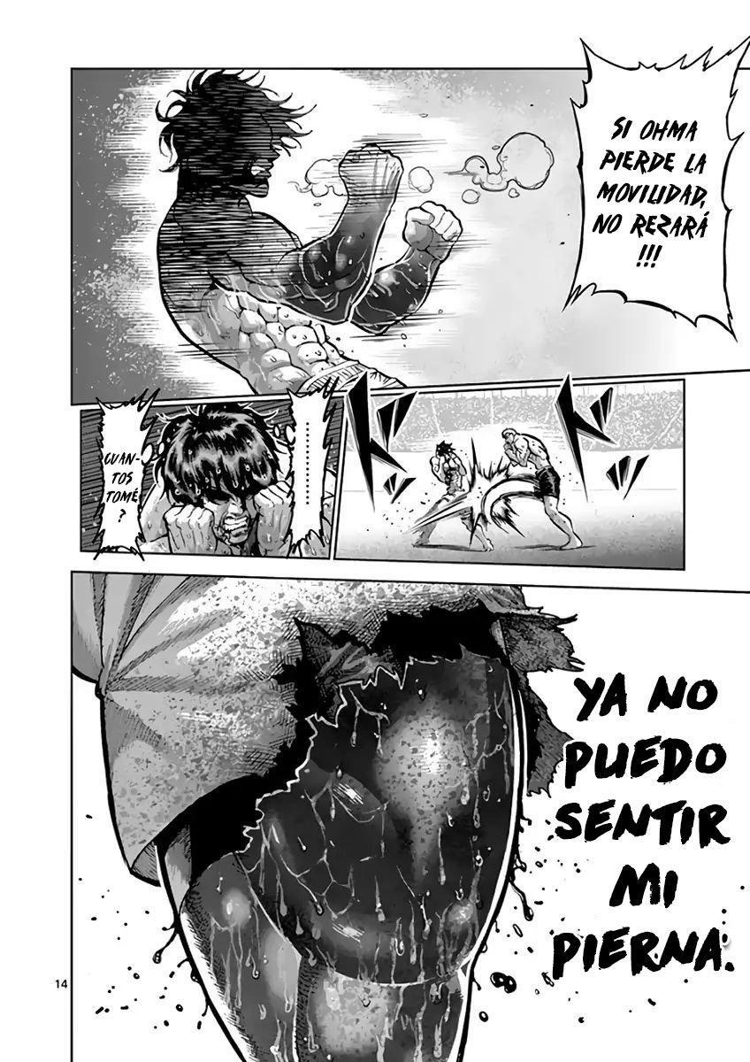 Capitulo 219 page 14