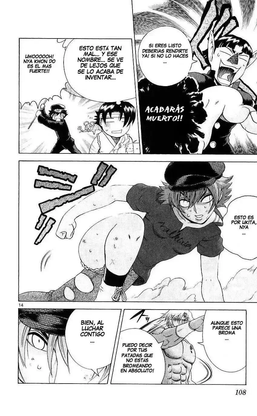 Capitulo 243 page 13