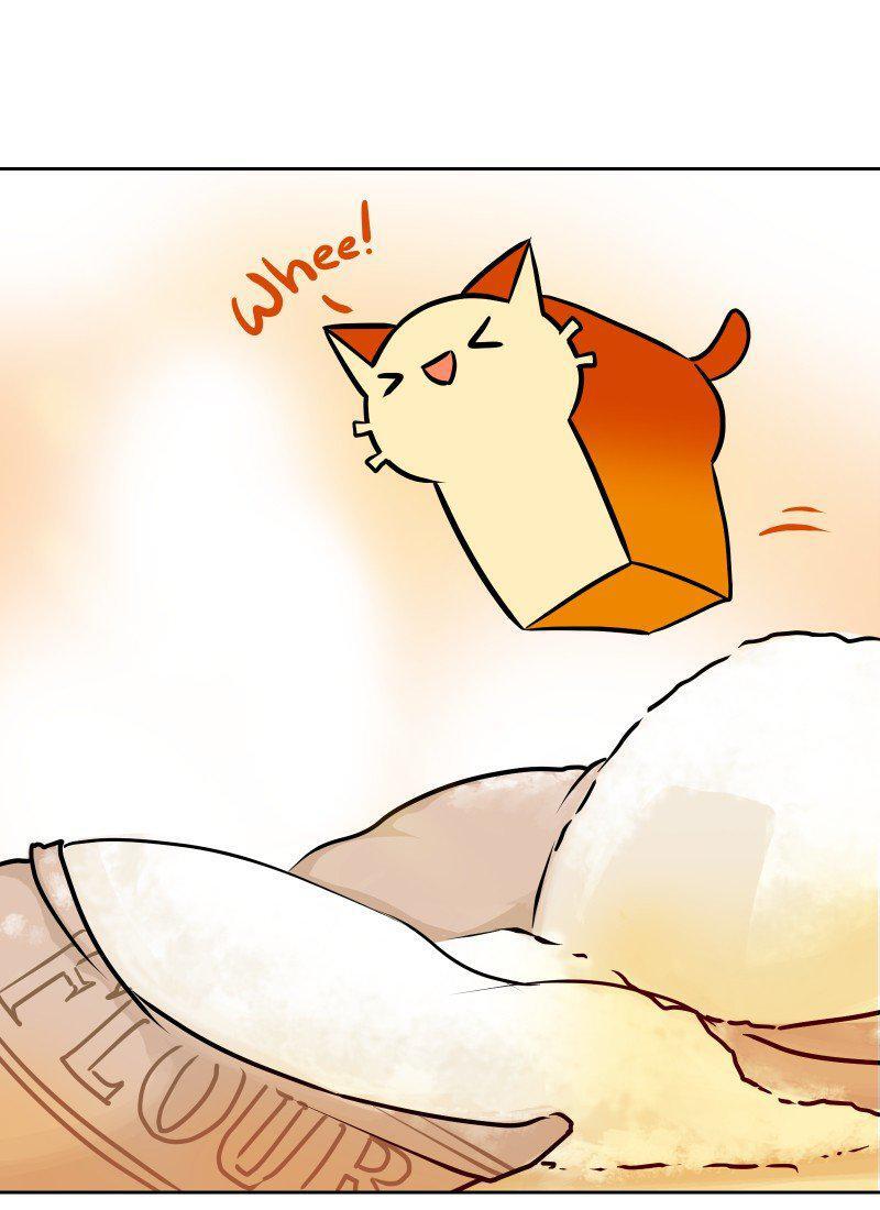 Capitulo 1 page 13