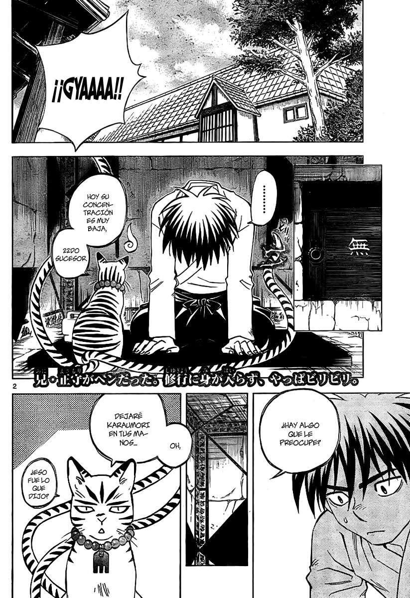 Capitulo 243 page 2