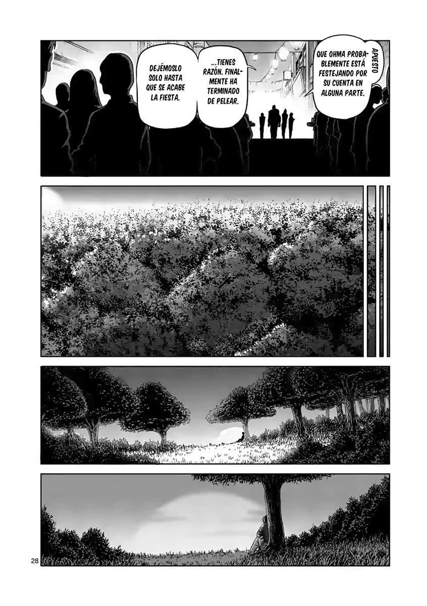Capitulo 235 page 29