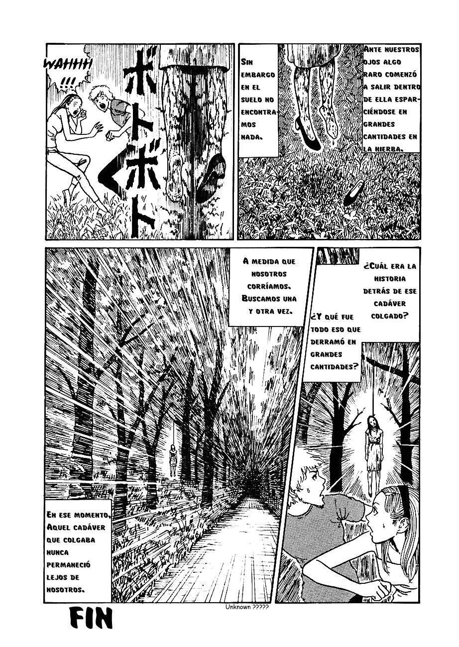 Capitulo 3 page 11