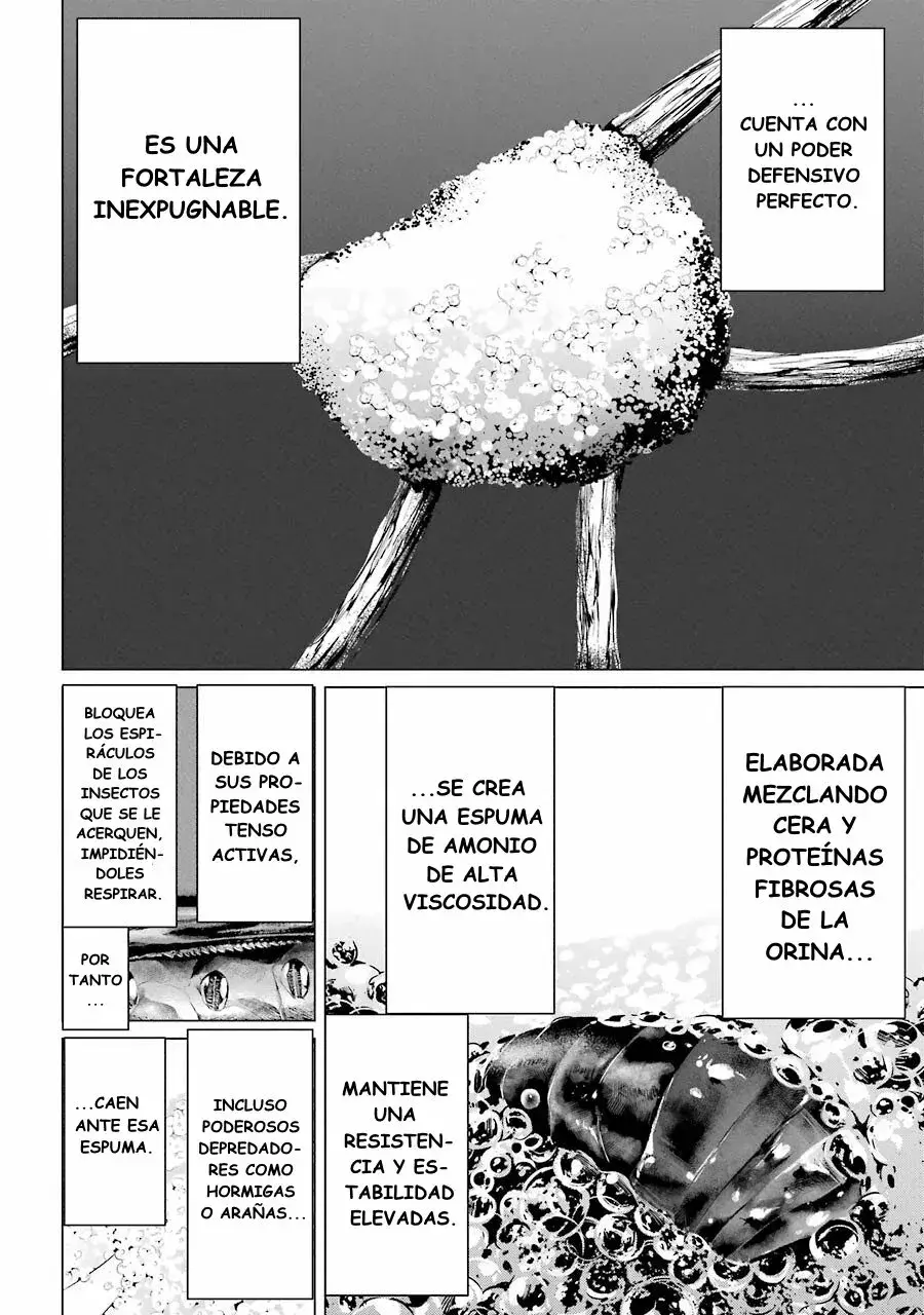 Capitulo 2 page 21