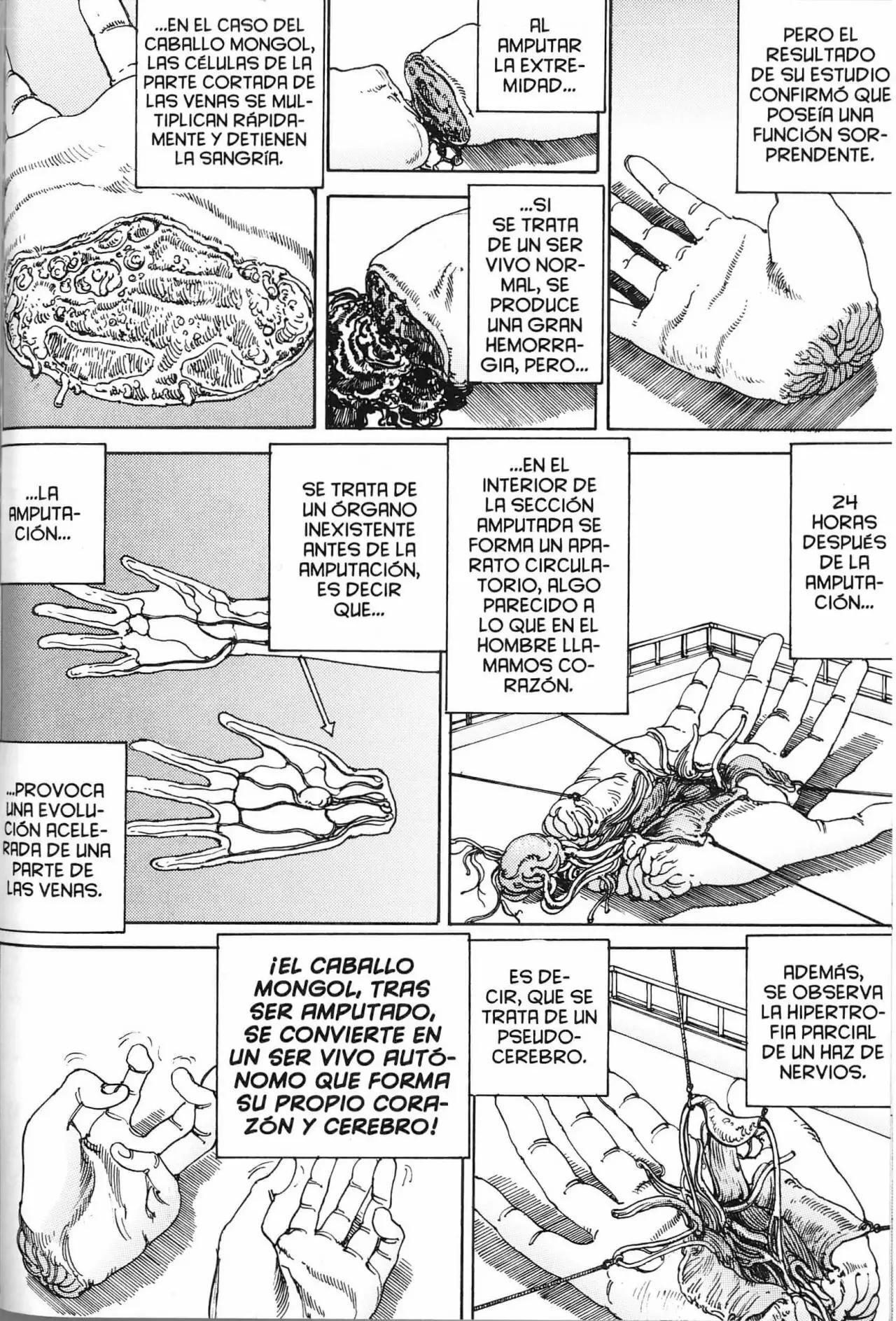 Capitulo 9 page 9