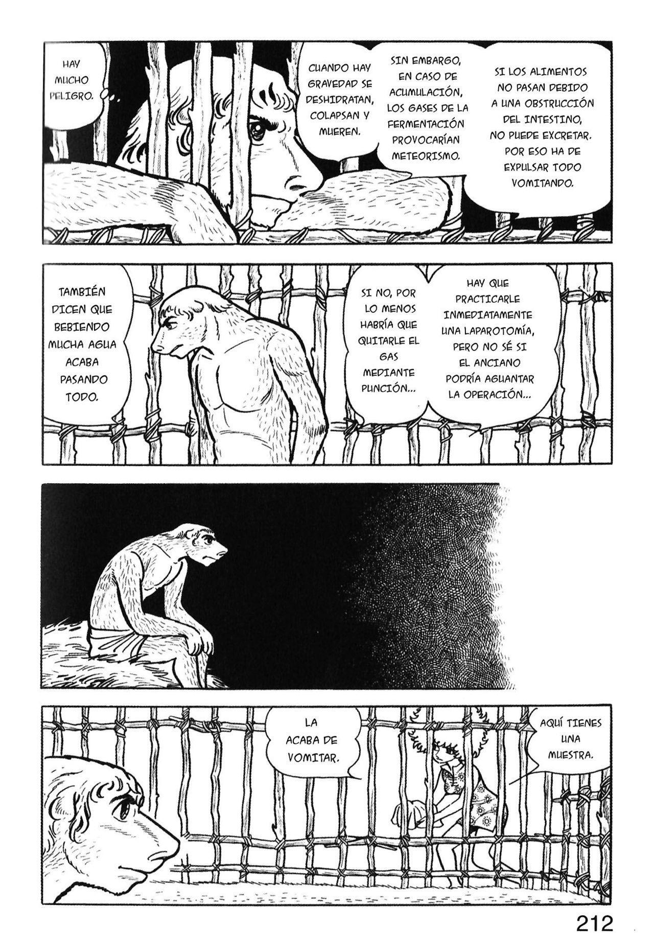 Capitulo 12 page 8