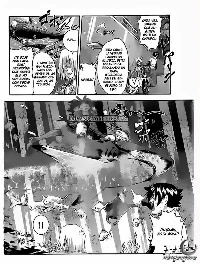 Capitulo 483 page 13