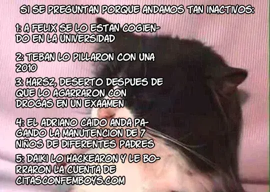Capitulo 19 page 19