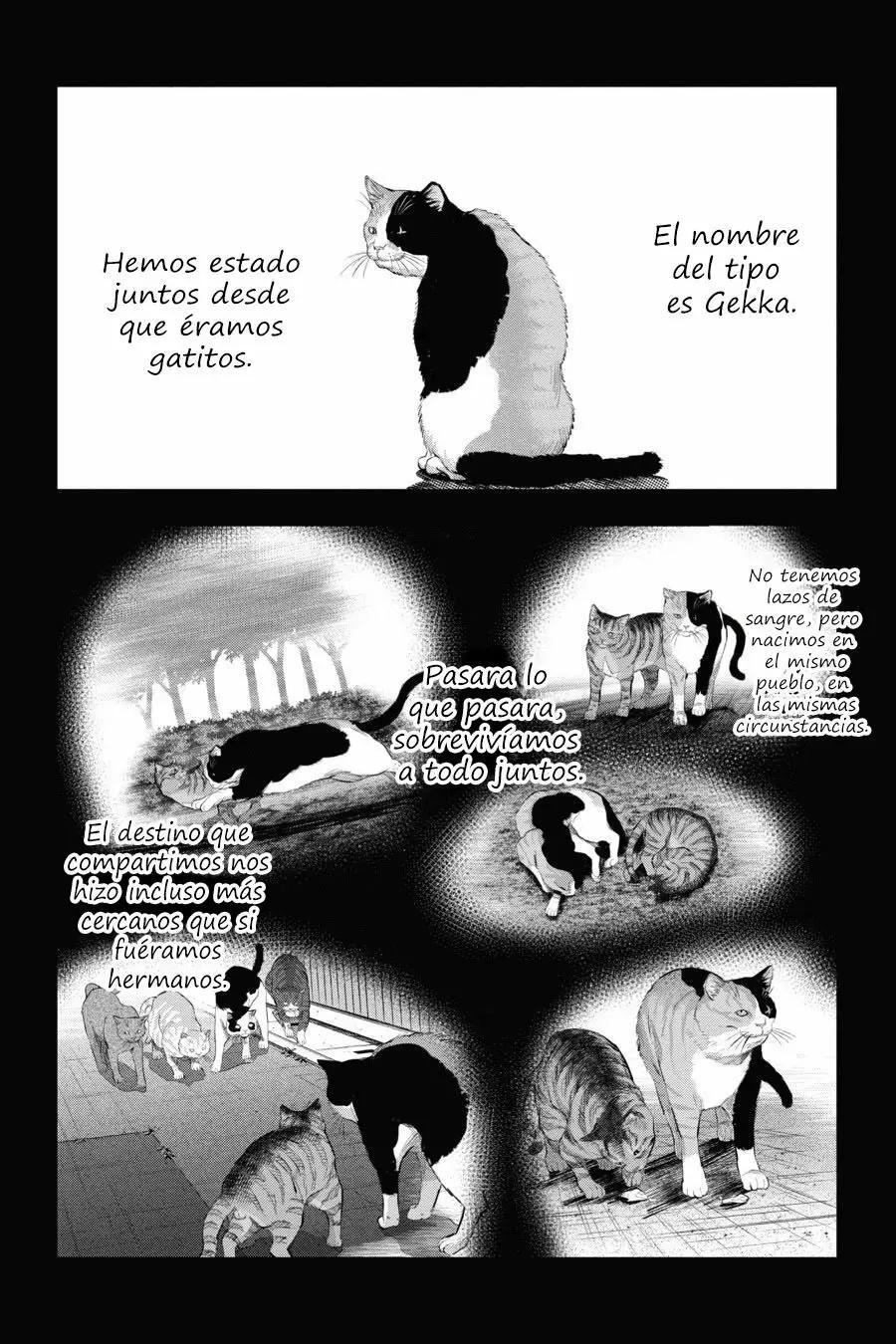 Capitulo 9 page 22