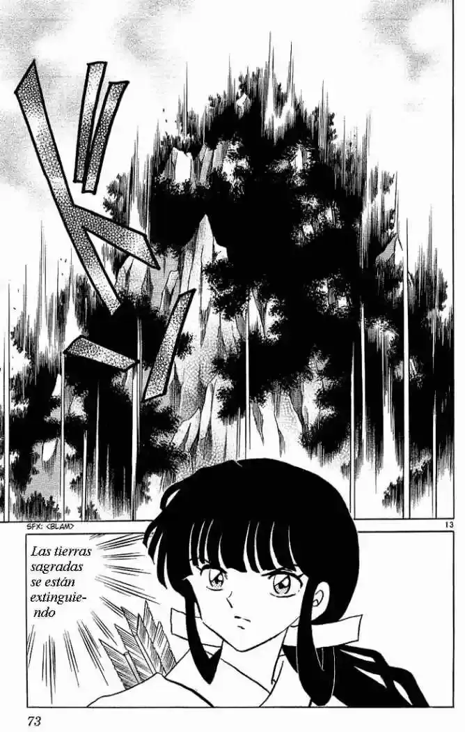 Capitulo 276 page 13