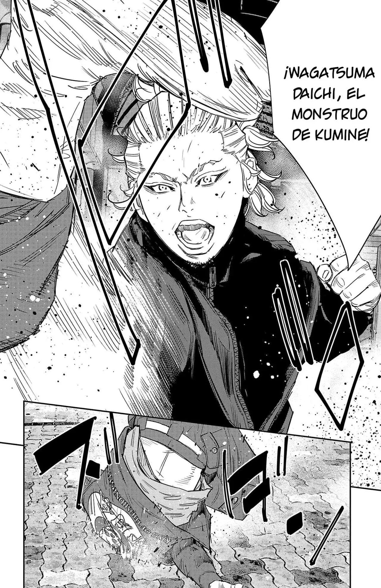 Capitulo 109 page 17