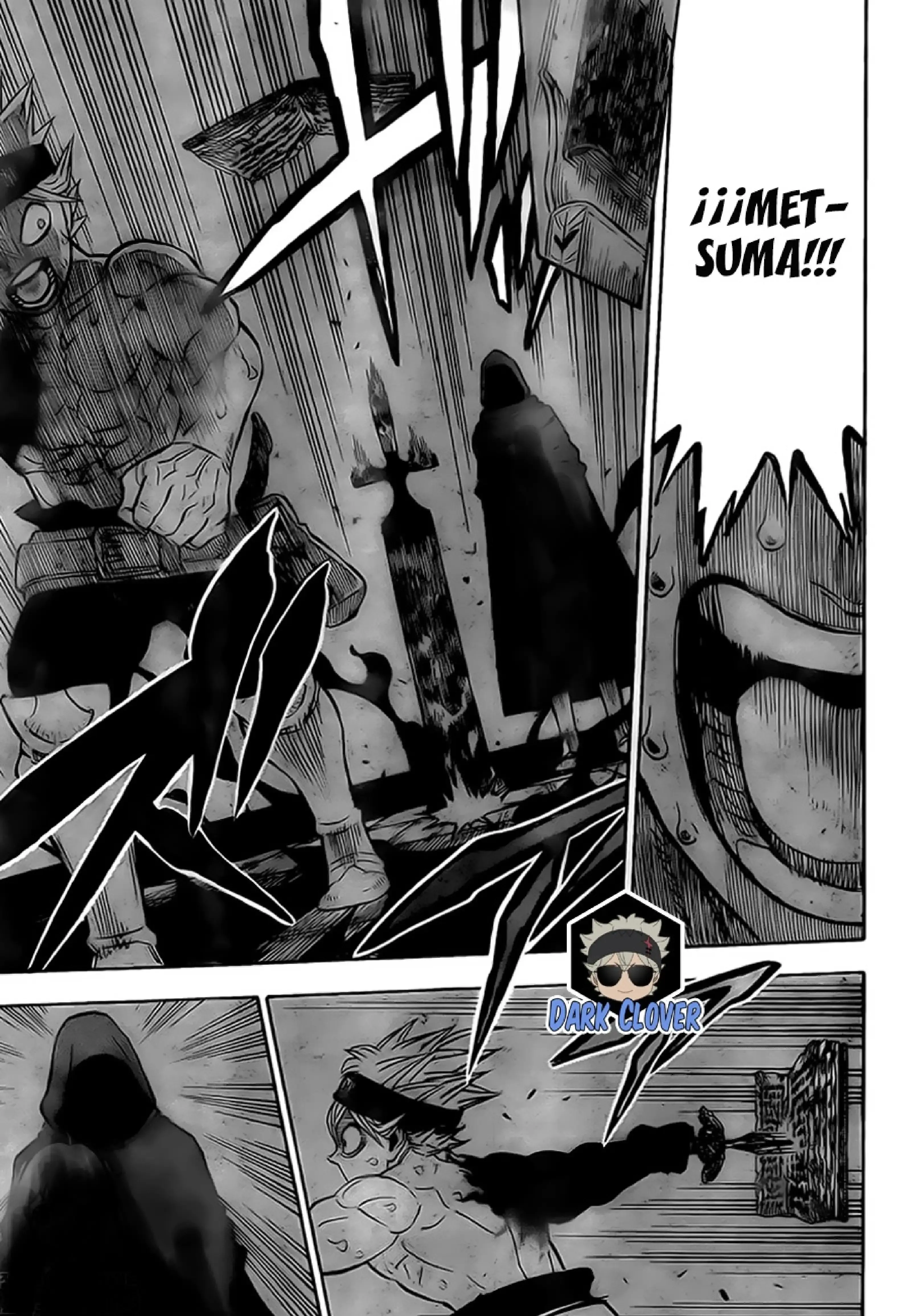 Capitulo 261 page 12