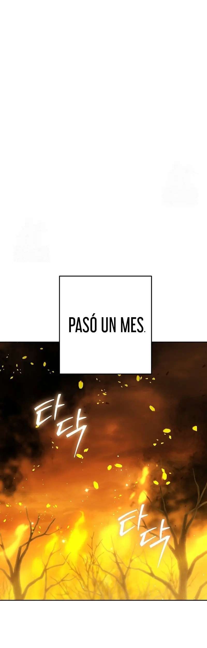 Capitulo 255 page 14