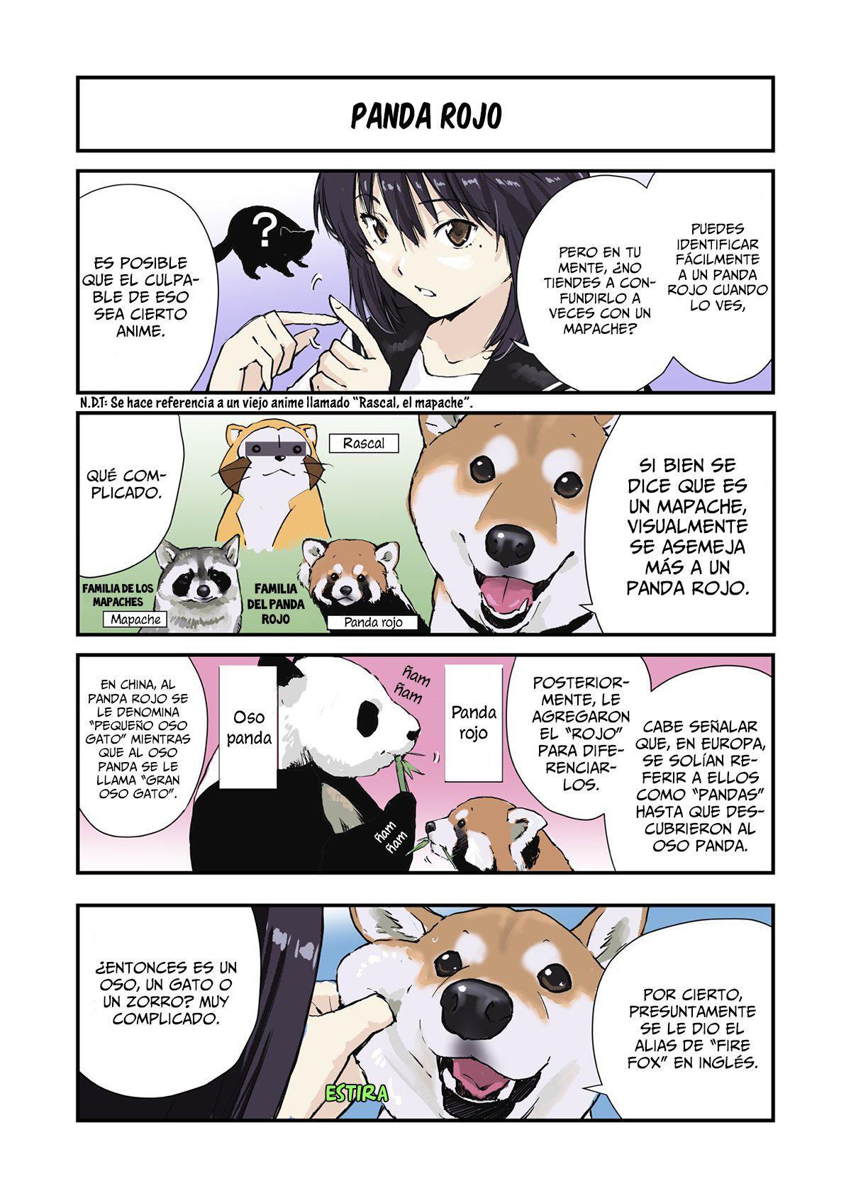 Capitulo 33 page 6