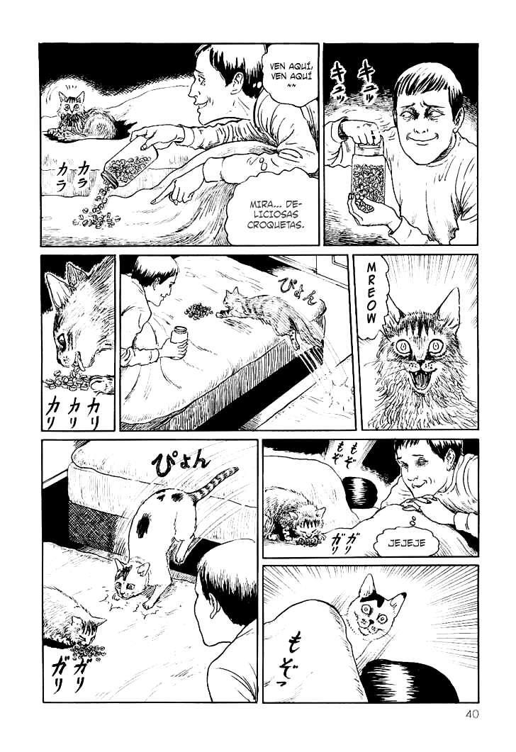 Capitulo 4 page 8