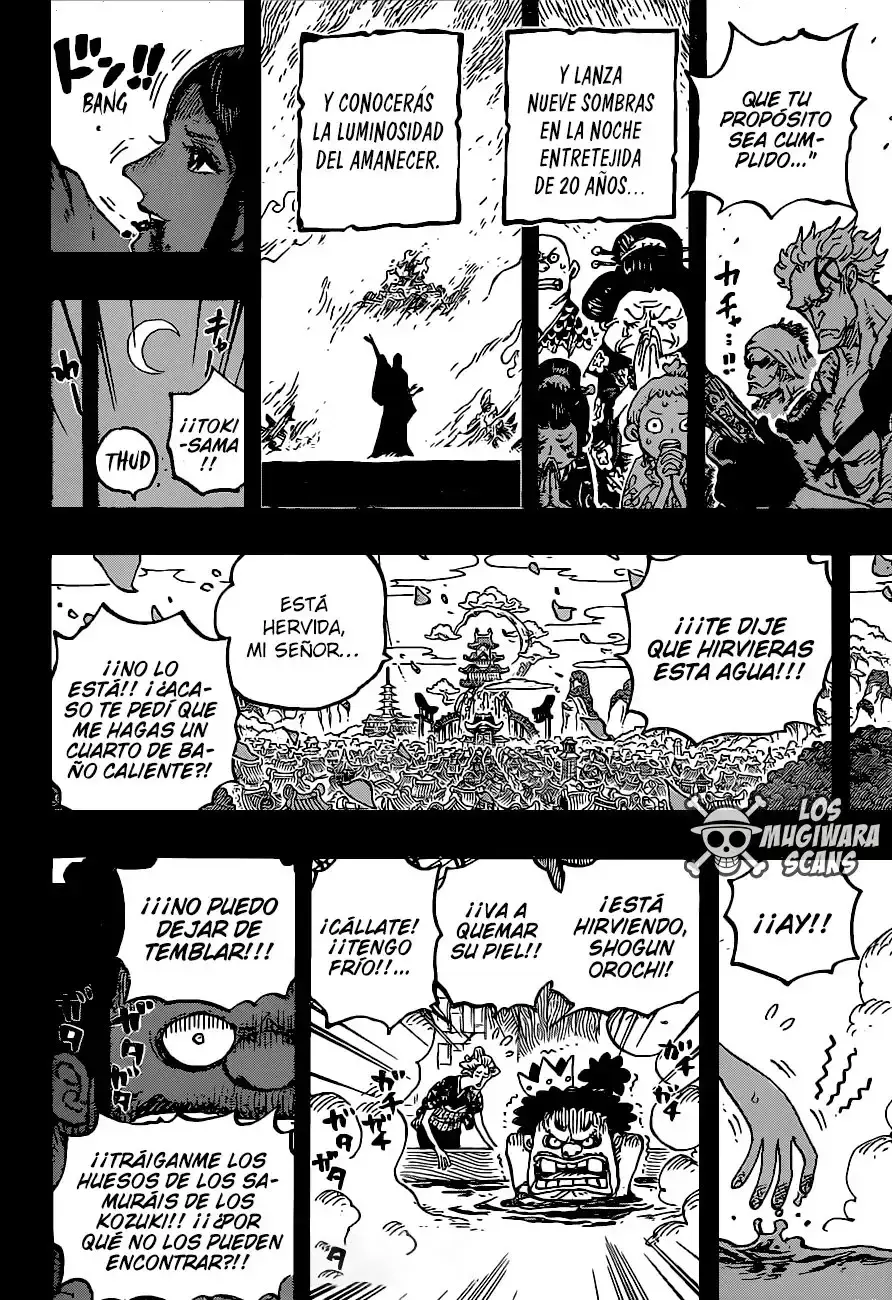 Capitulo 973 page 13