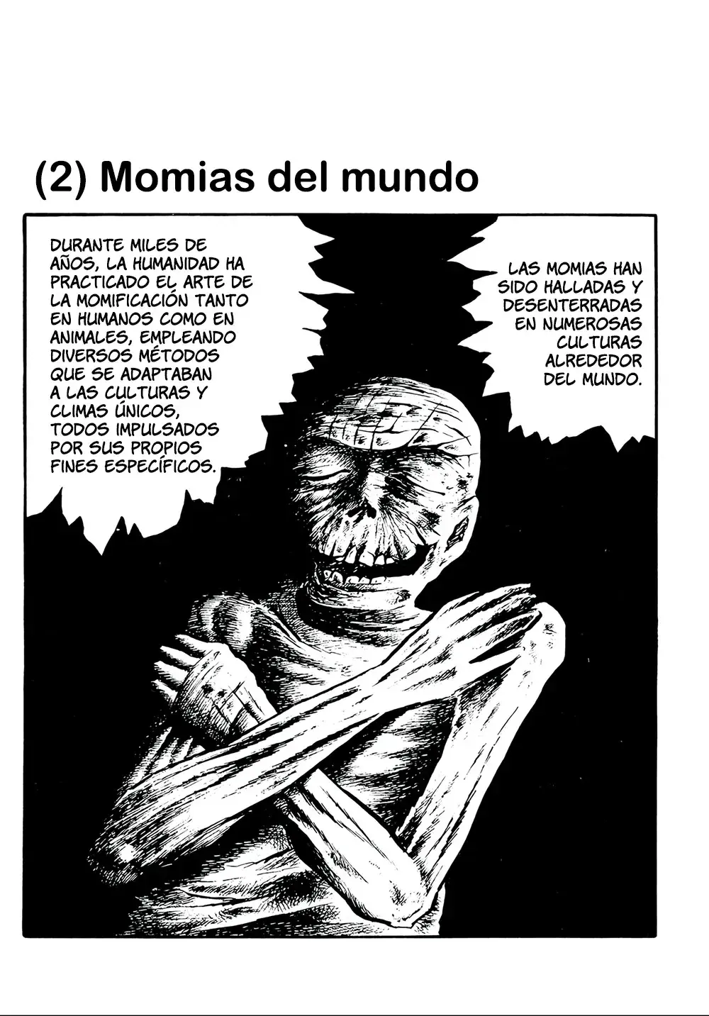 Capitulo 2 page 1
